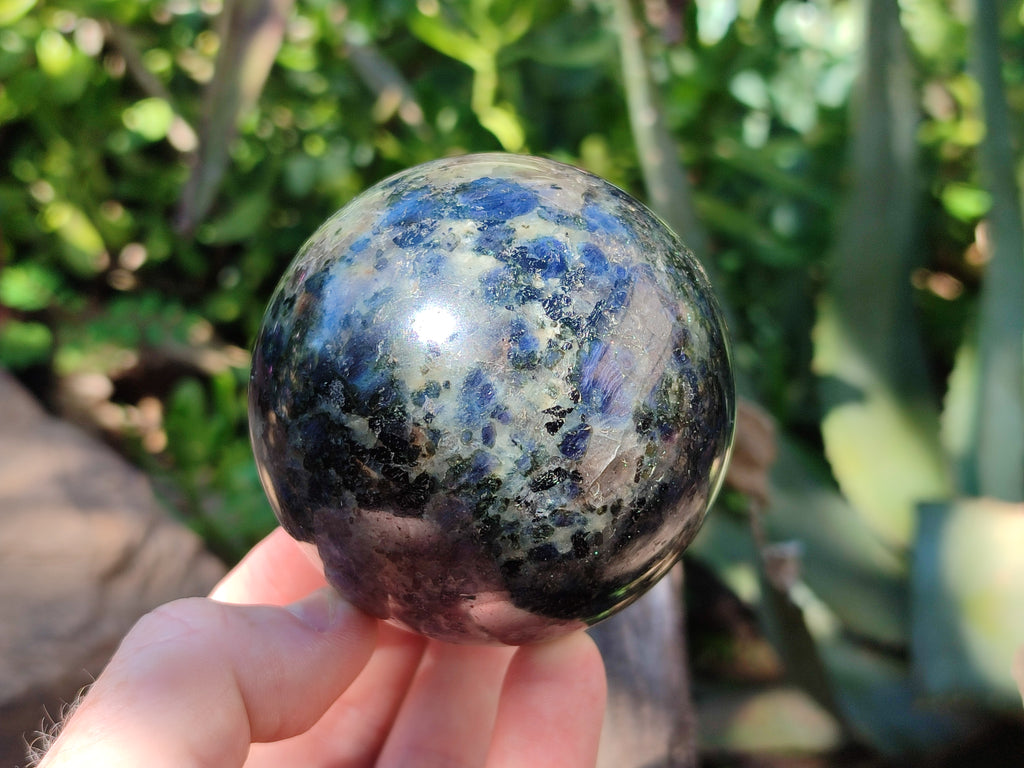 Polished Iolite Water Sapphire Spheres x 2 From Madagascar - Toprock Gemstones and Minerals 