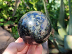 Polished Iolite Water Sapphire Spheres x 2 From Madagascar - Toprock Gemstones and Minerals 