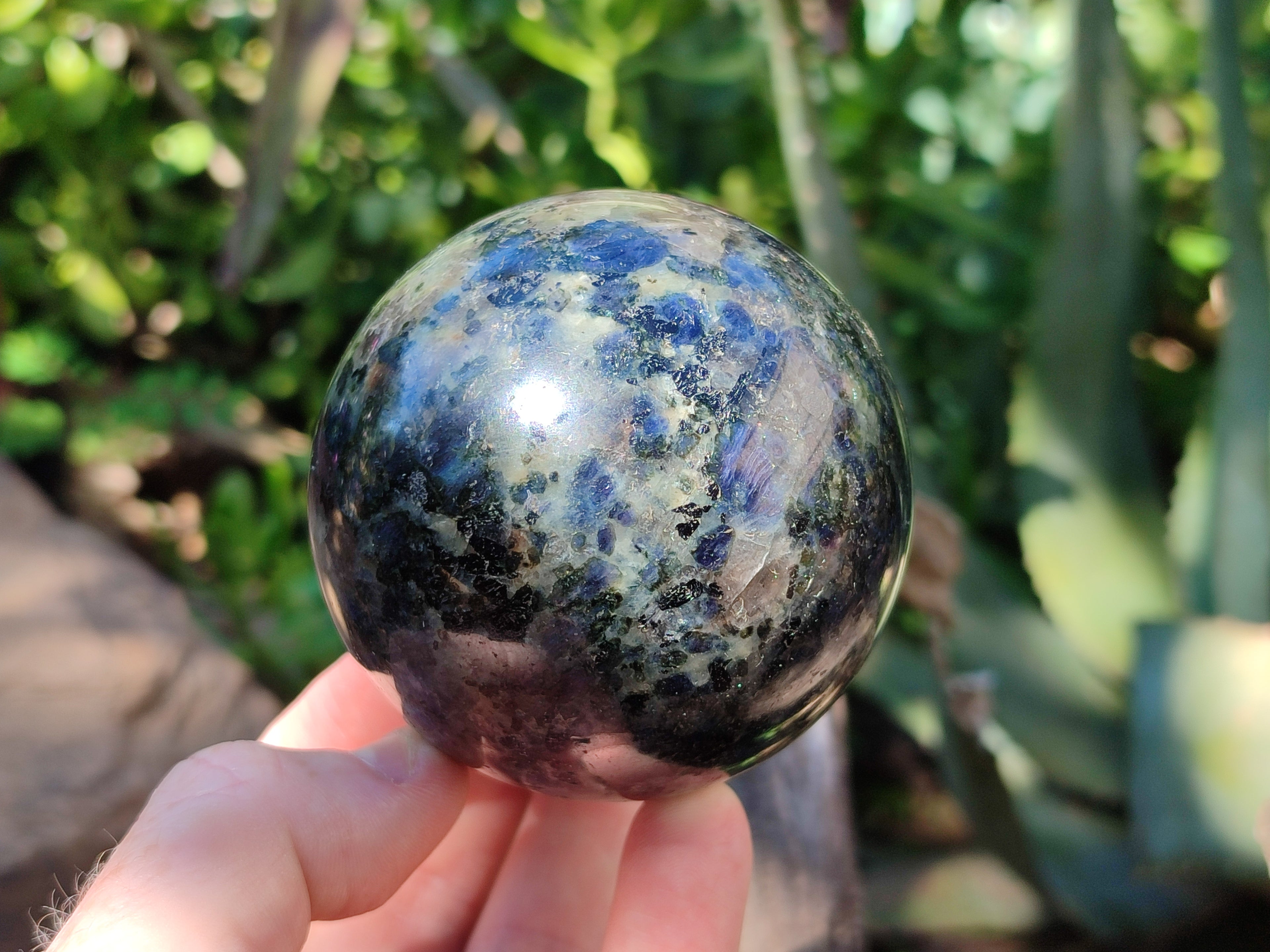 Polished Iolite Water Sapphire Spheres x 2 From Madagascar - Toprock Gemstones and Minerals 