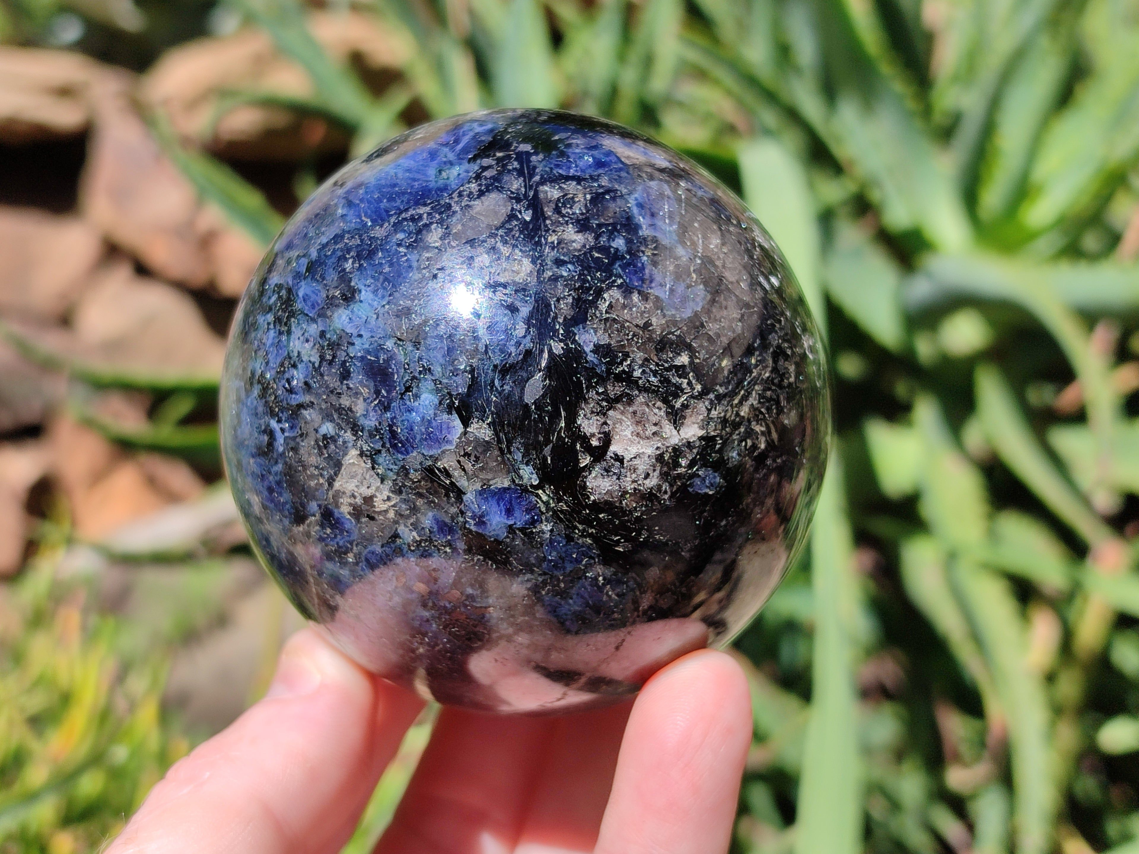 Polished Iolite Water Sapphire Spheres x 2 From Madagascar - Toprock Gemstones and Minerals 