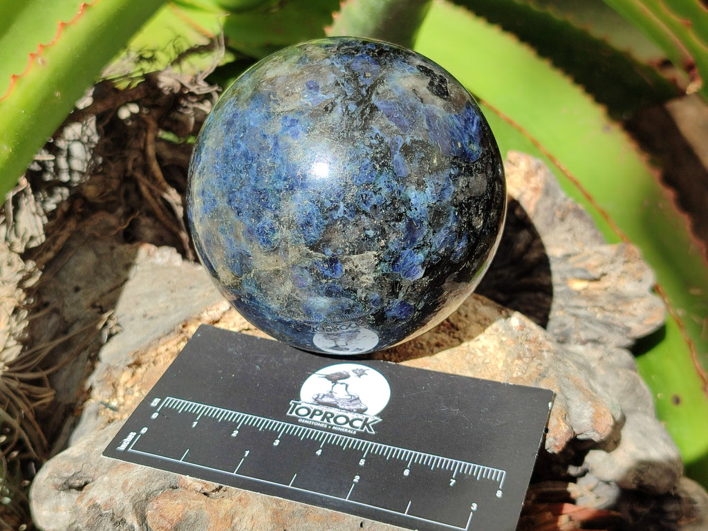 Polished Iolite Water Sapphire Spheres x 2 From Madagascar - Toprock Gemstones and Minerals 