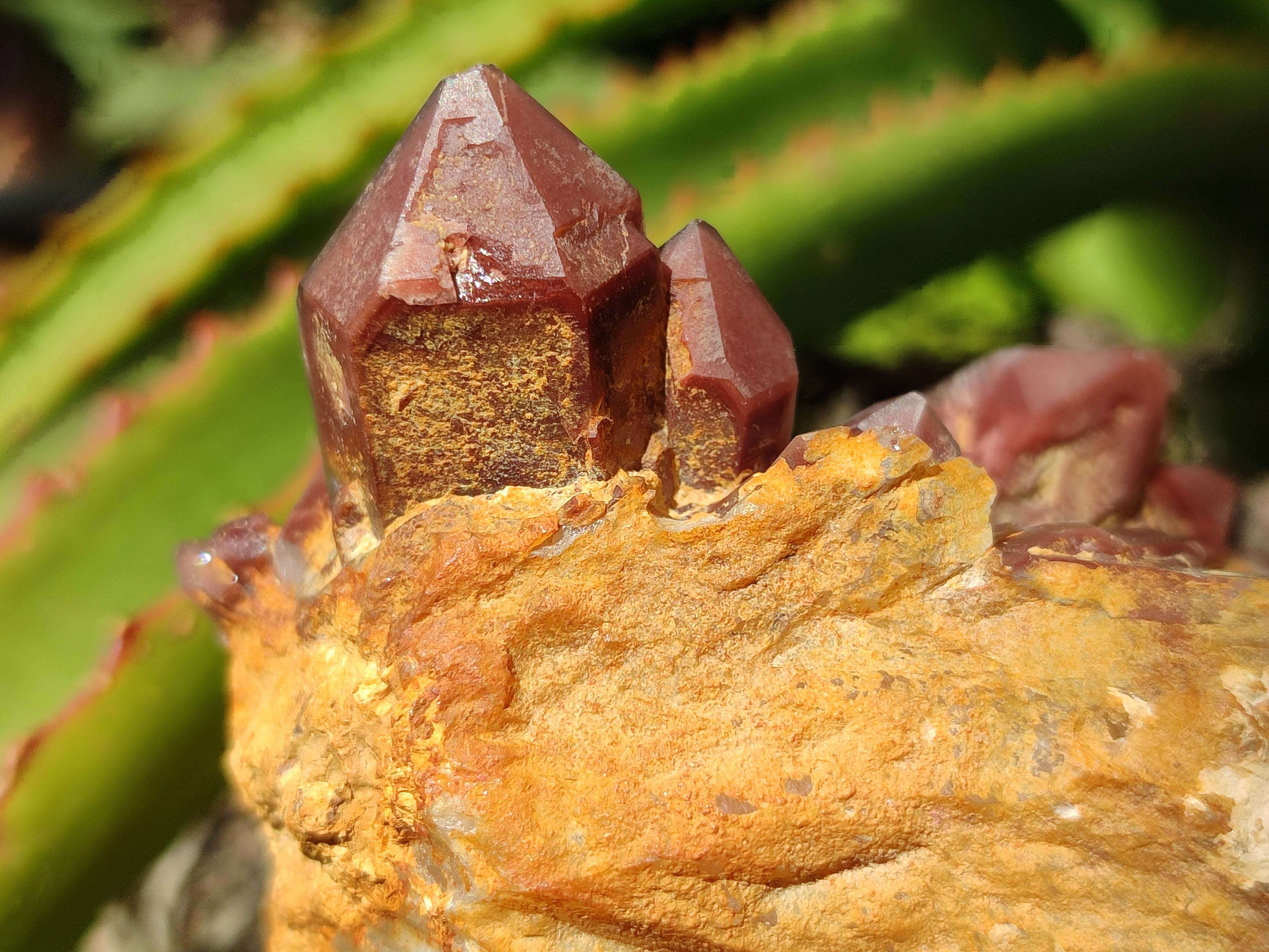 Natural Red Hematoid Quartz Clusters x 3 From Karoi, Zimbabwe - Toprock Gemstones and Minerals 