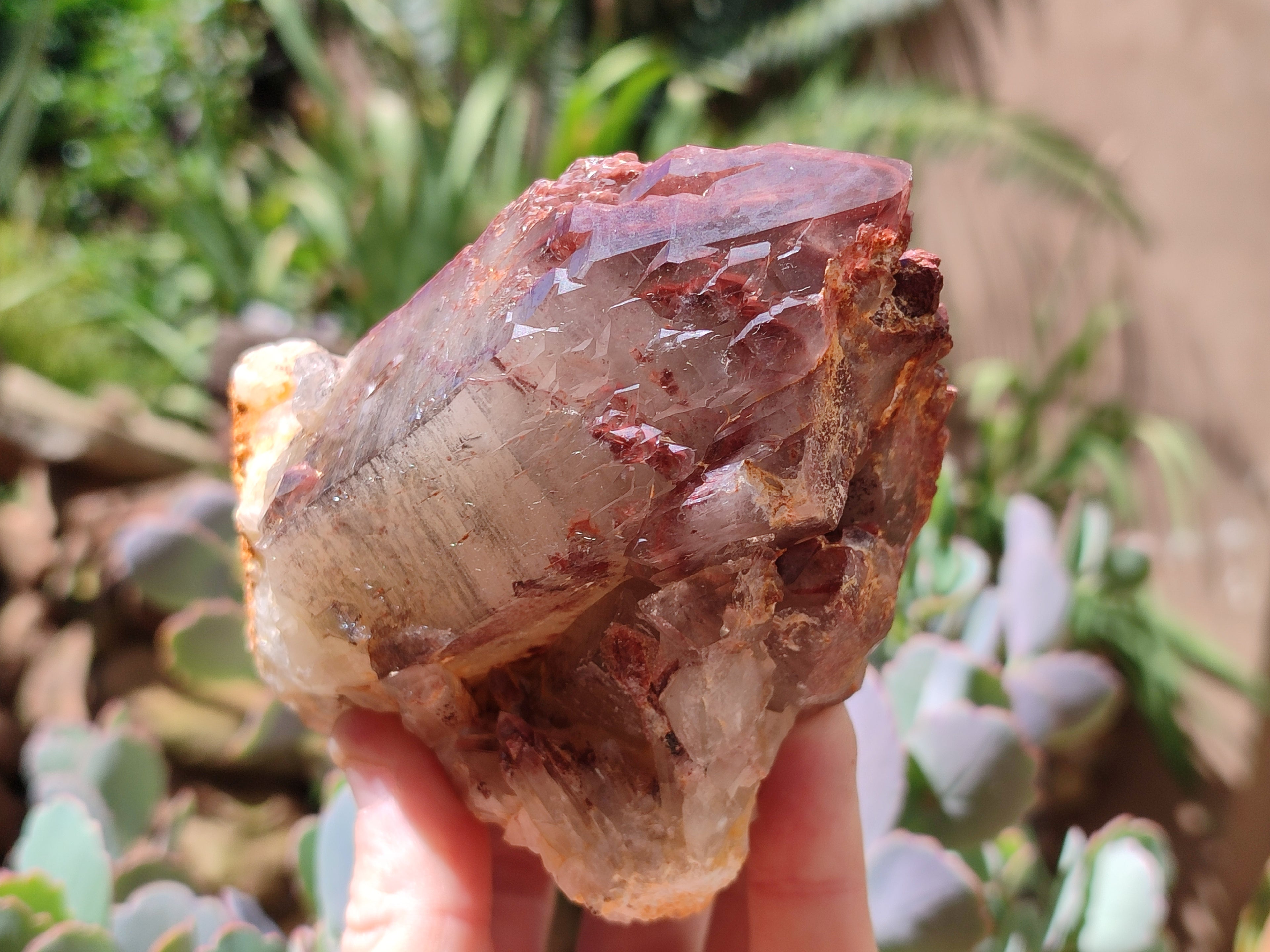 Natural Red Hematoid Quartz Clusters x 3 From Karoi, Zimbabwe - Toprock Gemstones and Minerals 