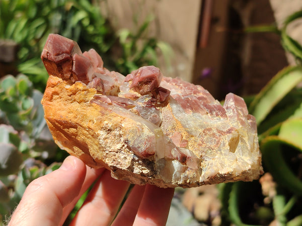 Natural Red Hematoid Quartz Clusters x 3 From Karoi, Zimbabwe