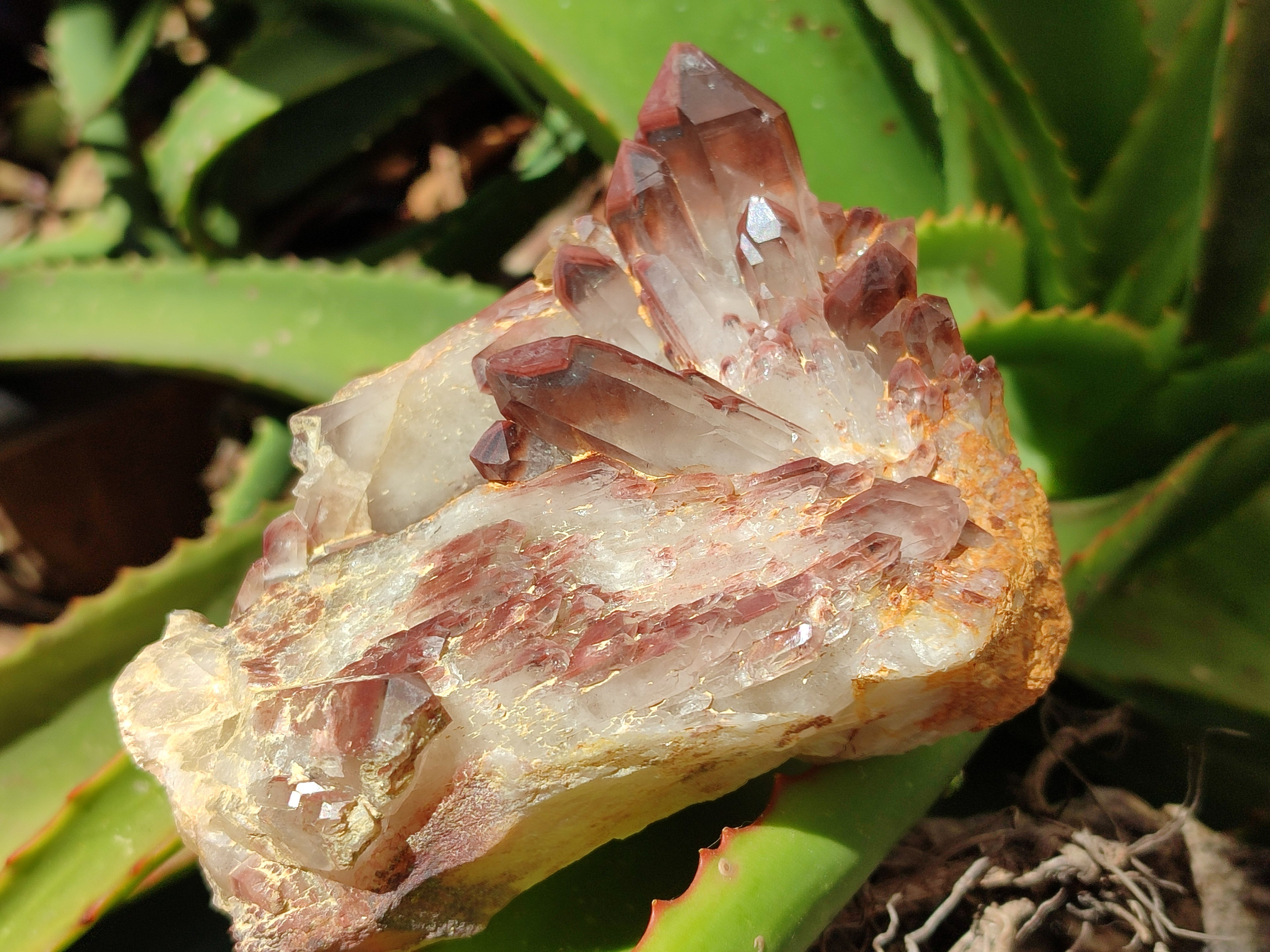 Natural Red Hematoid Quartz Clusters x 3 From Karoi, Zimbabwe - Toprock Gemstones and Minerals 