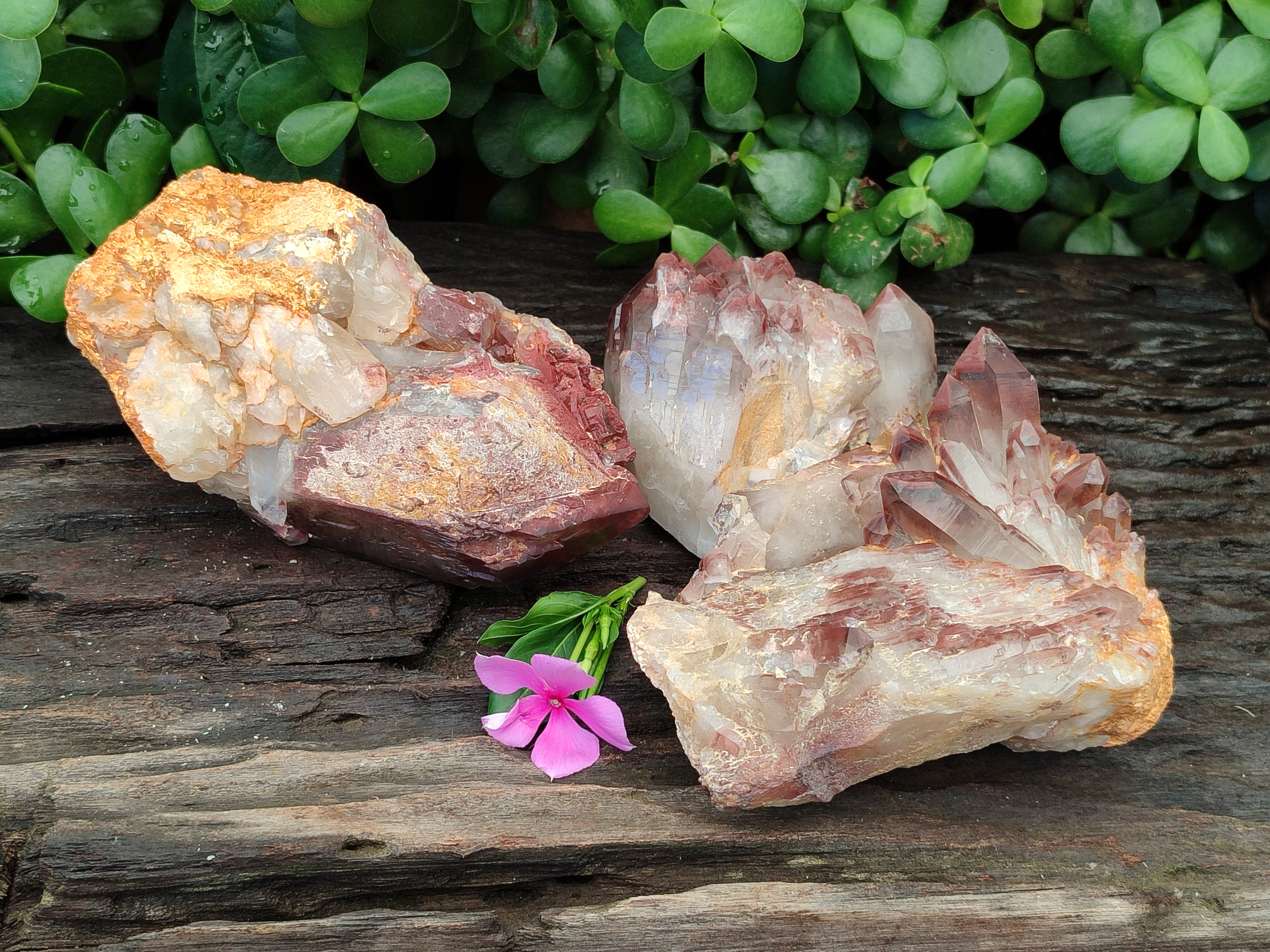 Natural Red Hematoid Quartz Clusters x 3 From Karoi, Zimbabwe - Toprock Gemstones and Minerals 