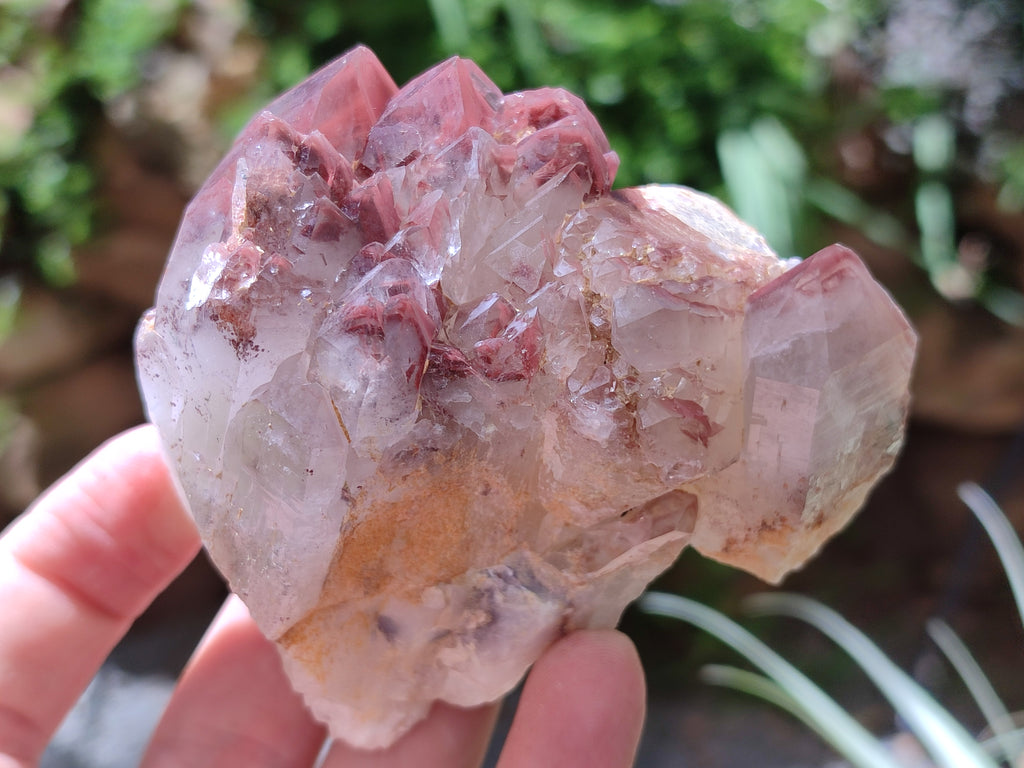 Natural Red Hematoid Quartz Clusters x 3 From Karoi, Zimbabwe - Toprock Gemstones and Minerals 