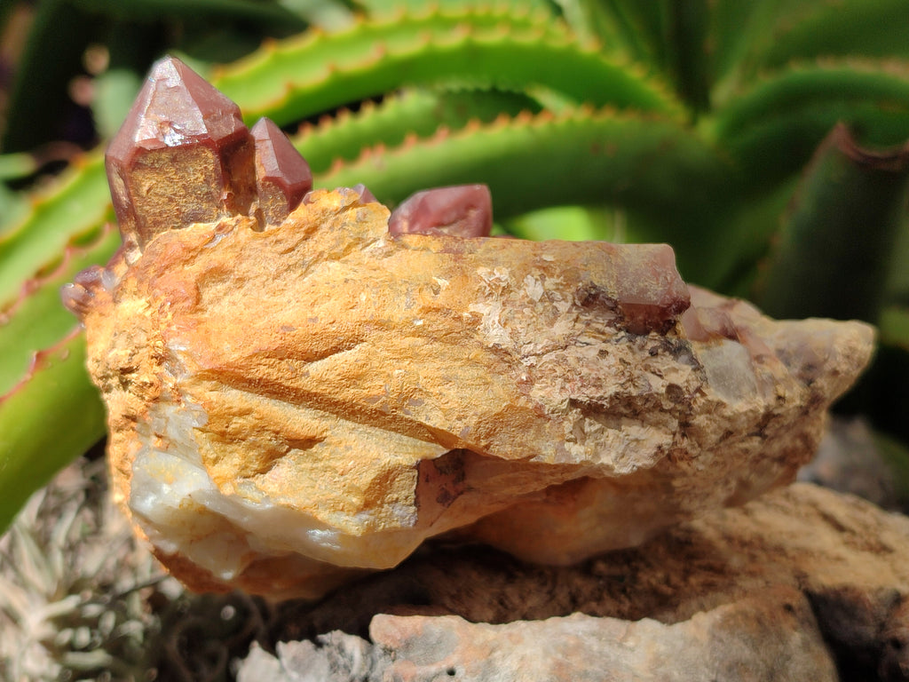 Natural Red Hematoid Quartz Clusters x 3 From Karoi, Zimbabwe - Toprock Gemstones and Minerals 