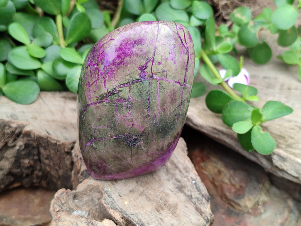 Polished Stichtite Standing Free Forms x 3 From Barberton, South Africa - Toprock Gemstones and Minerals 