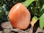 Polished Orange Twist Calcite Standing Free Form x 1 From Madagascar - Toprock Gemstones and Minerals 