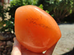 Polished Orange Twist Calcite Standing Free Form x 1 From Madagascar - Toprock Gemstones and Minerals 