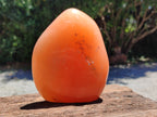 Polished Orange Twist Calcite Standing Free Form x 1 From Madagascar - Toprock Gemstones and Minerals 