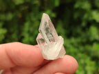 Natural Clear Quartz Crystals x 70 From Mpika, Zambia - Toprock Gemstones and Minerals 