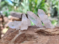 Natural Clear Quartz Crystals x 70 From Mpika, Zambia - Toprock Gemstones and Minerals 