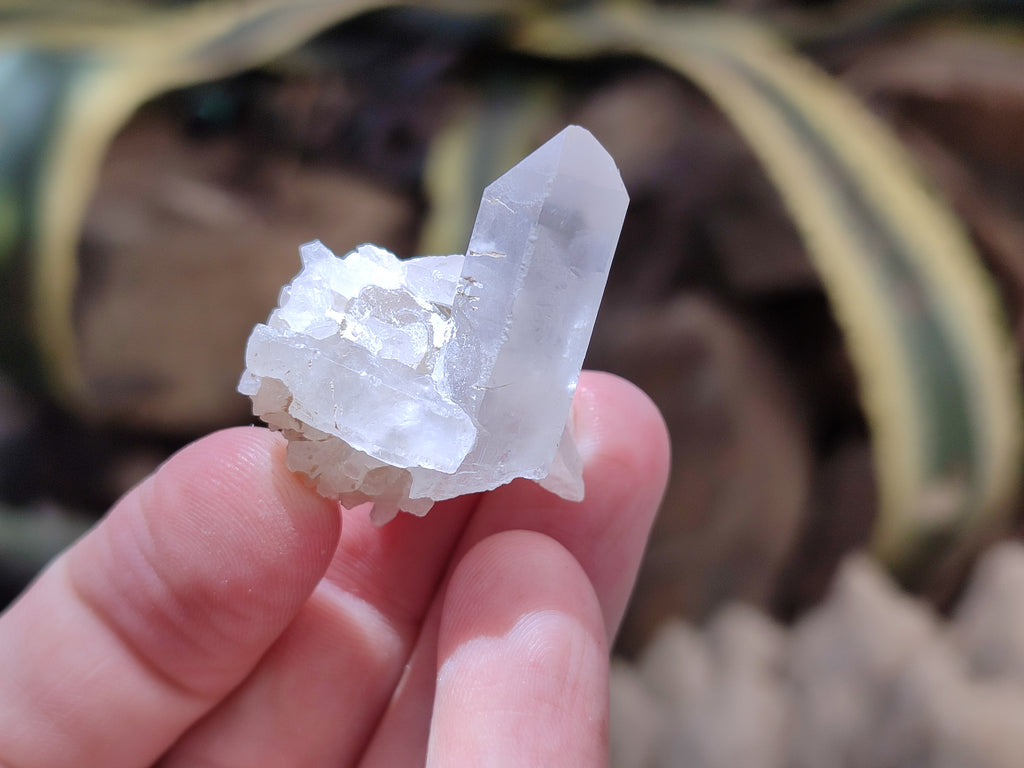 Natural Clear Quartz Crystals x 70 From Mpika, Zambia - Toprock Gemstones and Minerals 