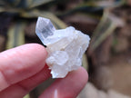 Natural Clear Quartz Crystals x 70 From Mpika, Zambia - Toprock Gemstones and Minerals 