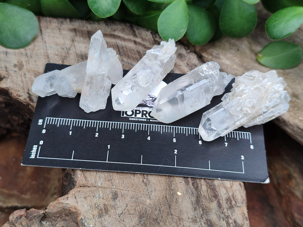 Natural Clear Quartz Crystals x 70 From Mpika, Zambia - Toprock Gemstones and Minerals 