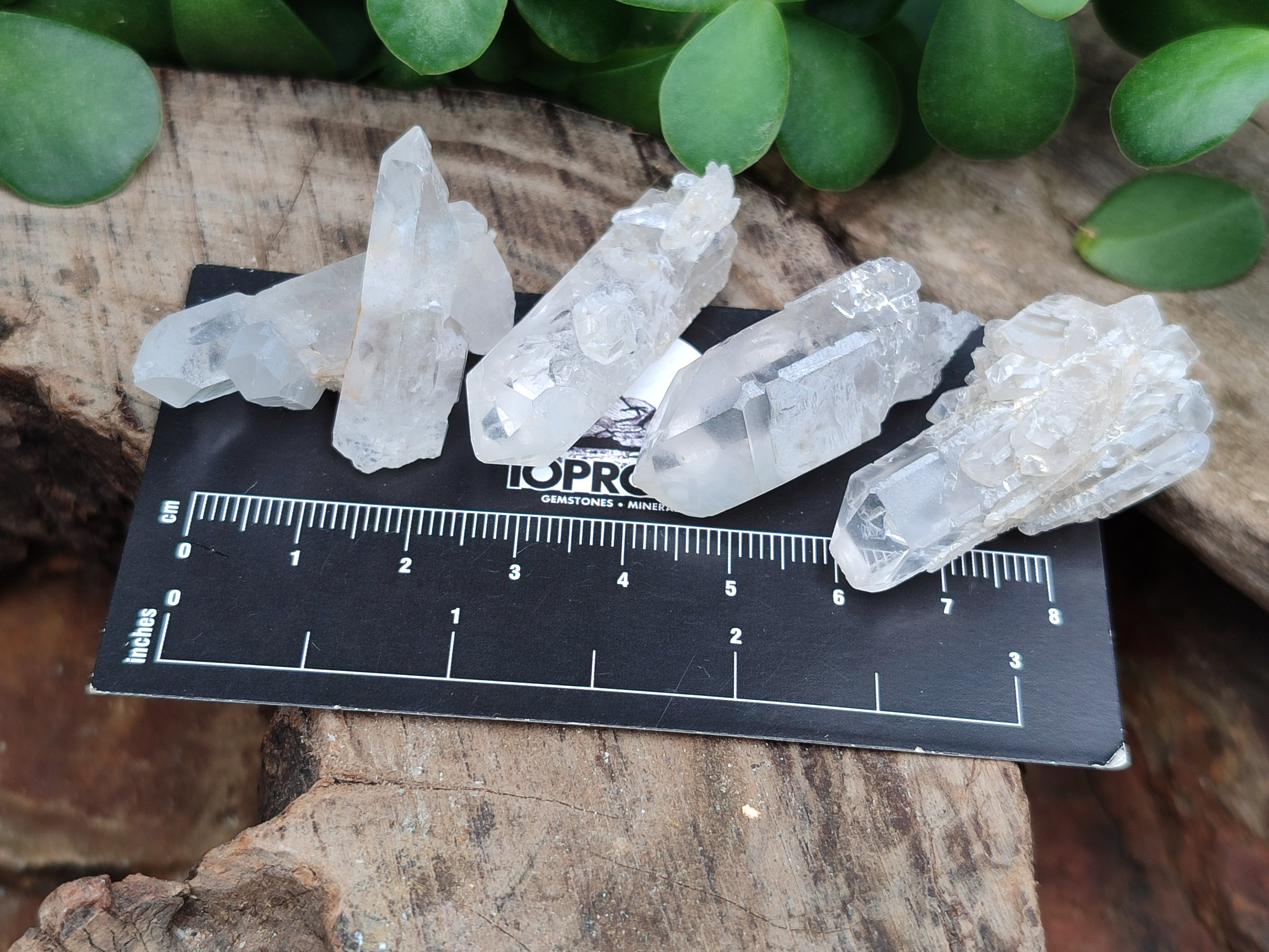 Natural Clear Quartz Crystals x 70 From Mpika, Zambia - Toprock Gemstones and Minerals 