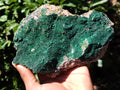 Natural Botryoidal Malachite Specimens x 2 From Tenke Fungurume, Congo - Toprock Gemstones and Minerals 