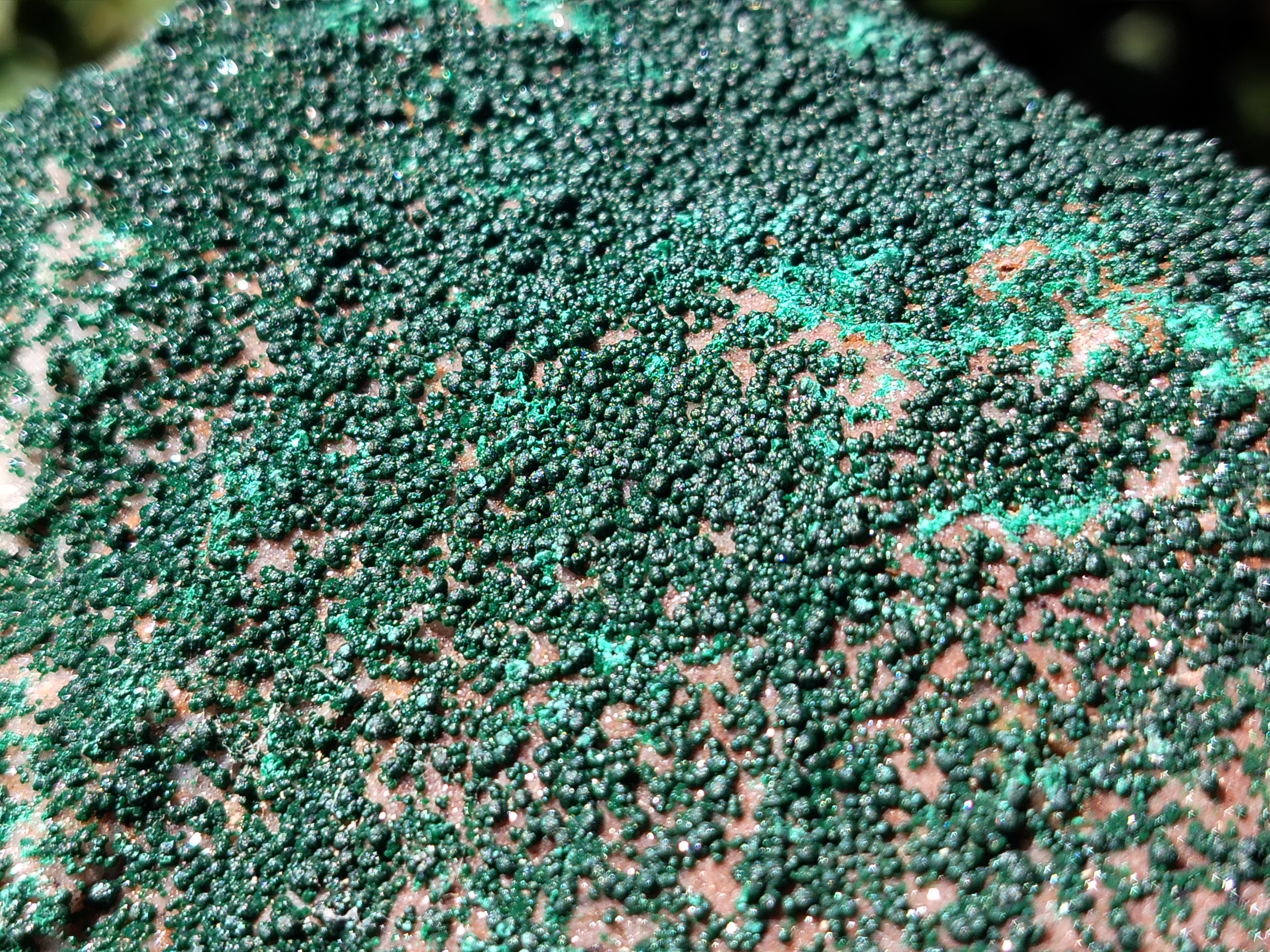 Natural Botryoidal Malachite Specimens x 2 From Tenke Fungurume, Congo - Toprock Gemstones and Minerals 