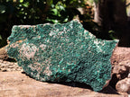 Natural Botryoidal Malachite Specimens x 2 From Tenke Fungurume, Congo - Toprock Gemstones and Minerals 