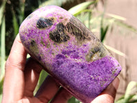Polished Stichtite Standing Standing Free Forms x 3 From Barberton, South Africa - Toprock Gemstones and Minerals 