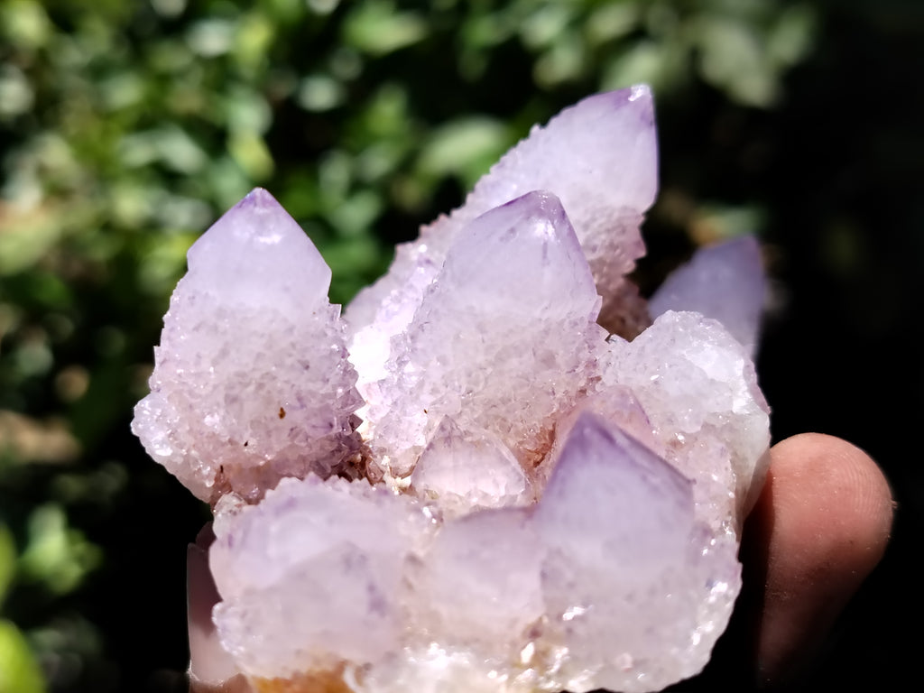 Natural Ametrine Spirit Quartz Clusters x 6 From Boekenhouthoek, South Africa - Toprock Gemstones and Minerals 