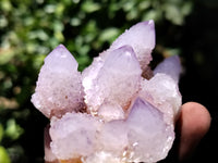 Natural Ametrine Spirit Quartz Clusters x 6 From Boekenhouthoek, South Africa