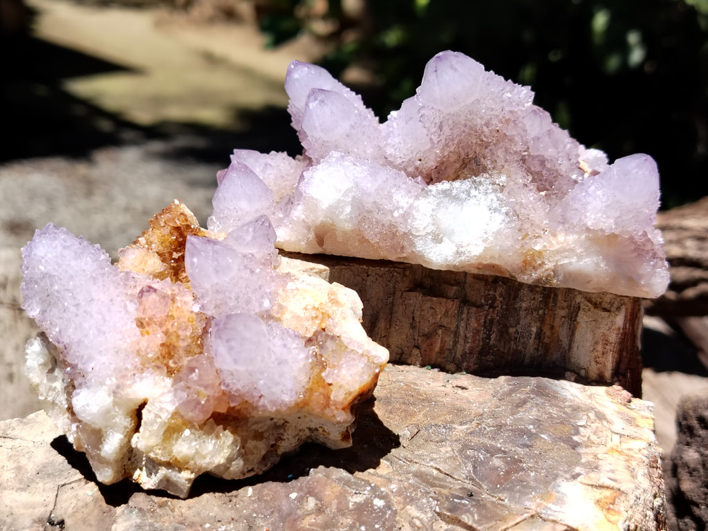 Natural Ametrine Spirit Quartz Clusters x 6 From Boekenhouthoek, South Africa - Toprock Gemstones and Minerals 