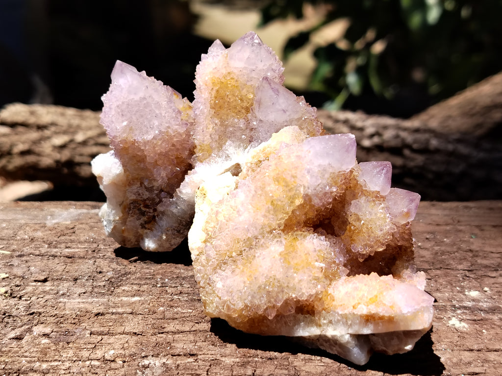 Natural Ametrine Spirit Quartz Clusters x 6 From Boekenhouthoek, South Africa - Toprock Gemstones and Minerals 
