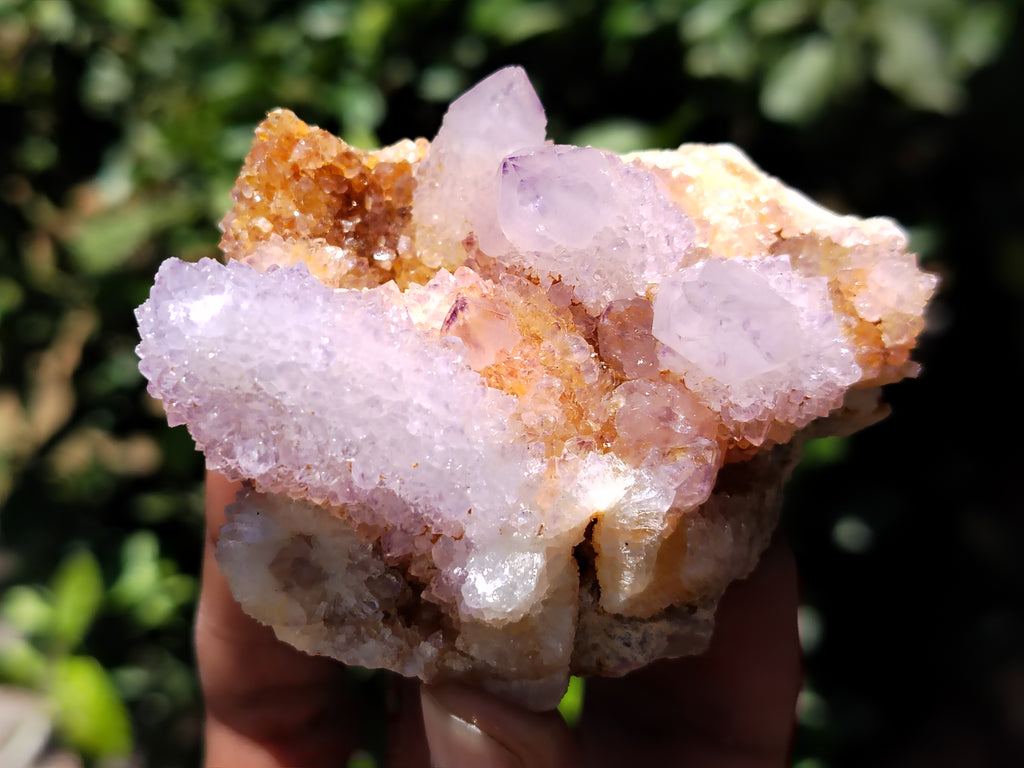 Natural Ametrine Spirit Quartz Clusters x 6 From Boekenhouthoek, South Africa - Toprock Gemstones and Minerals 