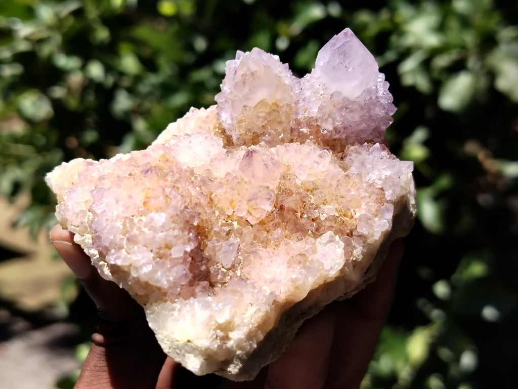 Natural Ametrine Spirit Quartz Clusters x 6 From Boekenhouthoek, South Africa - Toprock Gemstones and Minerals 