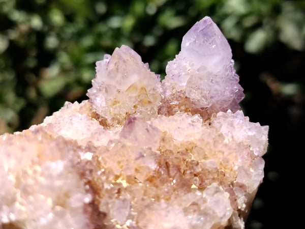 Natural Ametrine Spirit Quartz Clusters x 6 From Boekenhouthoek, South Africa