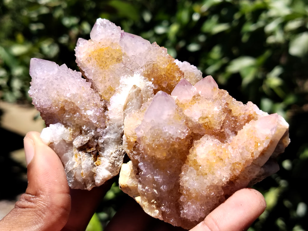 Natural Ametrine Spirit Quartz Clusters x 6 From Boekenhouthoek, South Africa - Toprock Gemstones and Minerals 