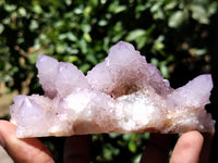 Natural Ametrine Spirit Quartz Clusters x 6 From Boekenhouthoek, South Africa