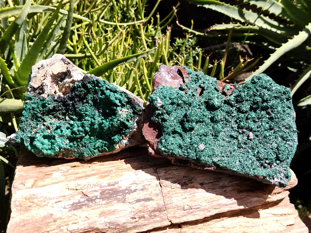 Natural Botryoidal Malachite Specimens x 2 From Tenke Fungurume, Congo - Toprock Gemstones and Minerals 