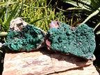 Natural Botryoidal Malachite Specimens x 2 From Tenke Fungurume, Congo - Toprock Gemstones and Minerals 