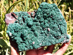 Natural Botryoidal Malachite Specimens x 2 From Tenke Fungurume, Congo - Toprock Gemstones and Minerals 