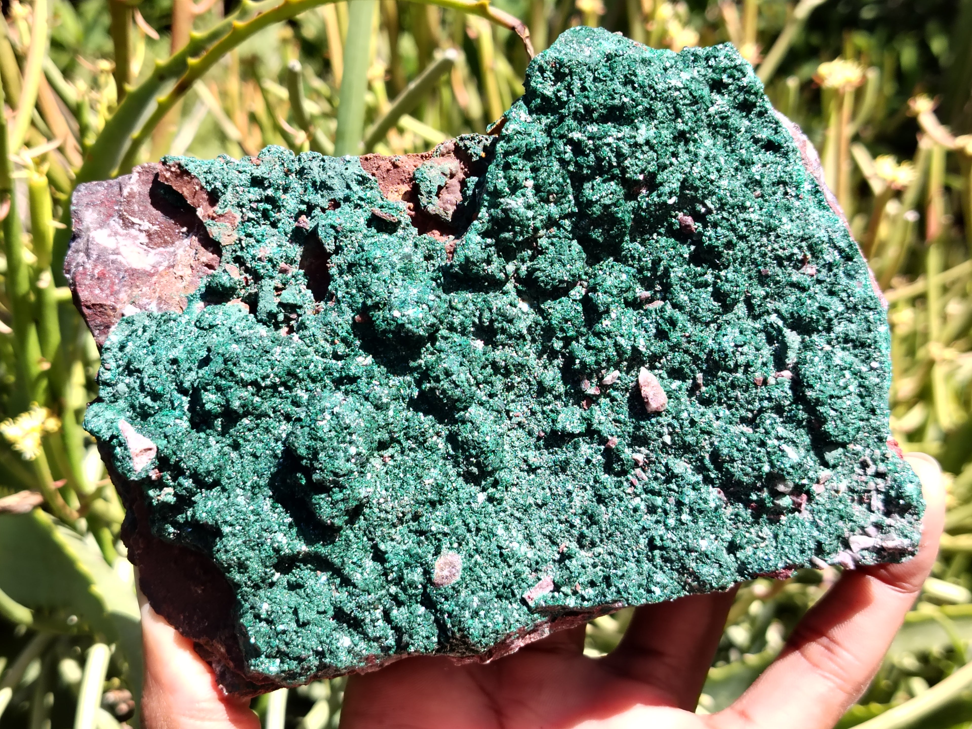 Natural Botryoidal Malachite Specimens x 2 From Tenke Fungurume, Congo - Toprock Gemstones and Minerals 