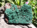 Natural Botryoidal Malachite Specimens x 2 From Tenke Fungurume, Congo - Toprock Gemstones and Minerals 