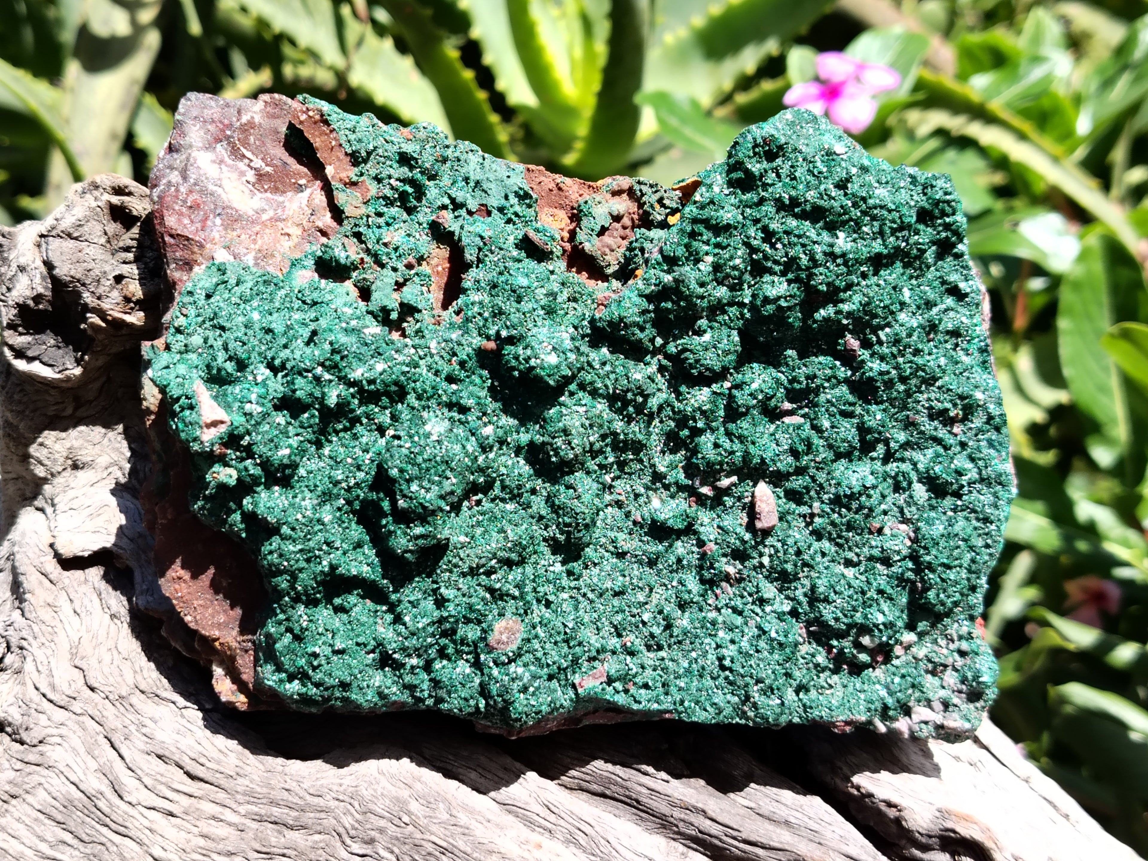 Natural Botryoidal Malachite Specimens x 2 From Tenke Fungurume, Congo - Toprock Gemstones and Minerals 