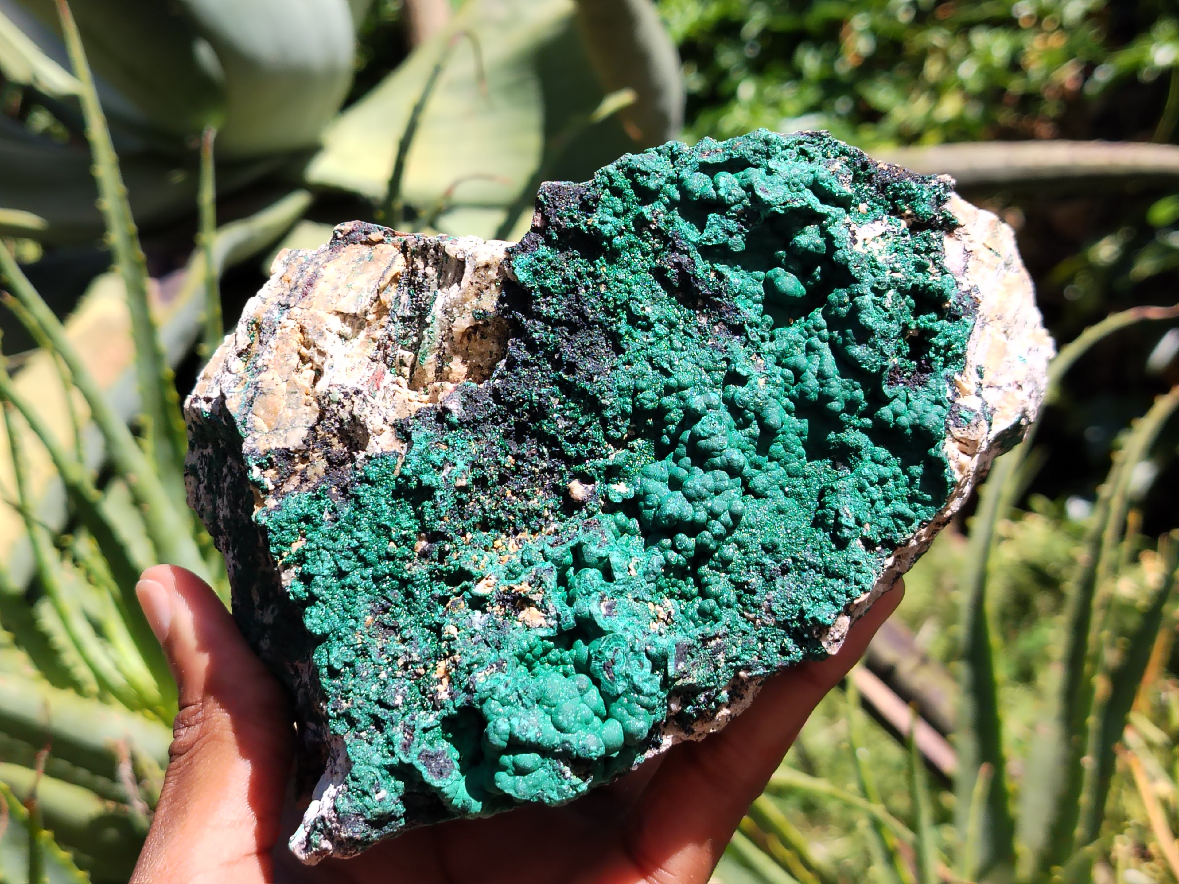 Natural Botryoidal Malachite Specimens x 2 From Tenke Fungurume, Congo - Toprock Gemstones and Minerals 