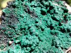 Natural Botryoidal Malachite Specimens x 2 From Tenke Fungurume, Congo - Toprock Gemstones and Minerals 