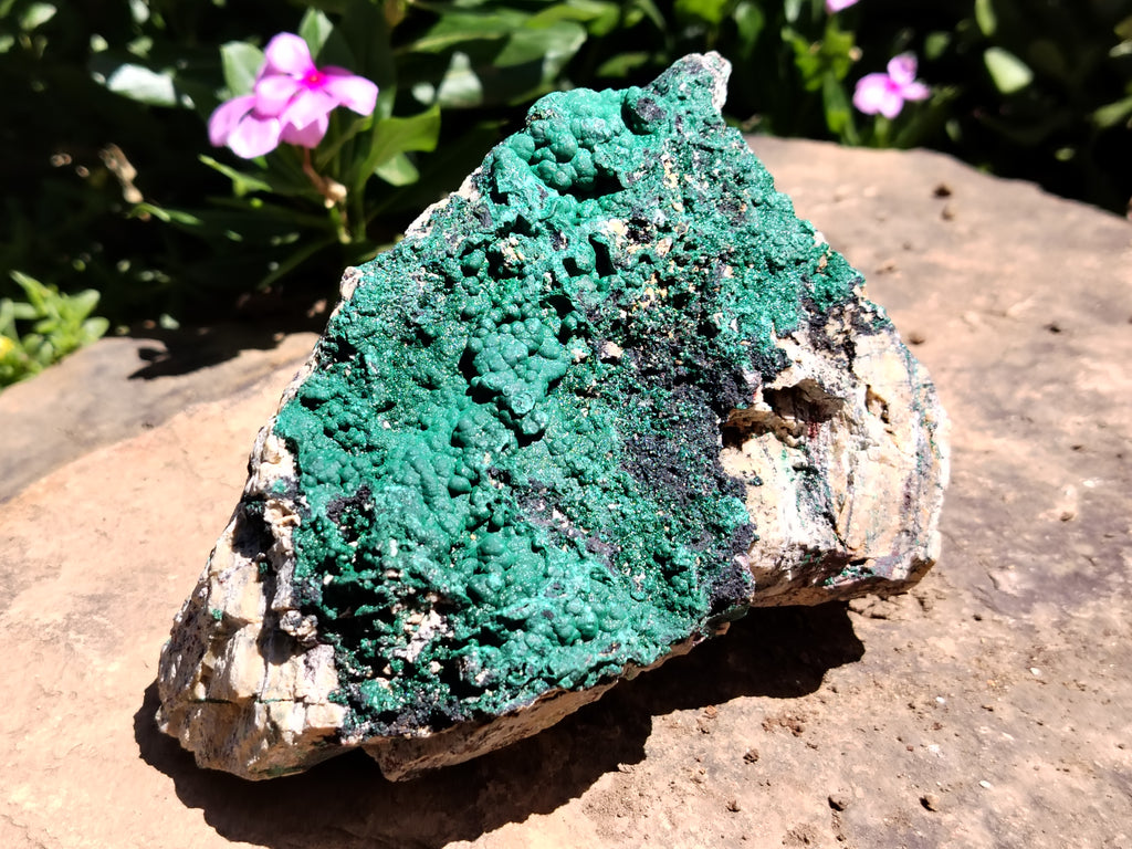 Natural Botryoidal Malachite Specimens x 2 From Tenke Fungurume, Congo - Toprock Gemstones and Minerals 