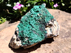 Natural Botryoidal Malachite Specimens x 2 From Tenke Fungurume, Congo - Toprock Gemstones and Minerals 