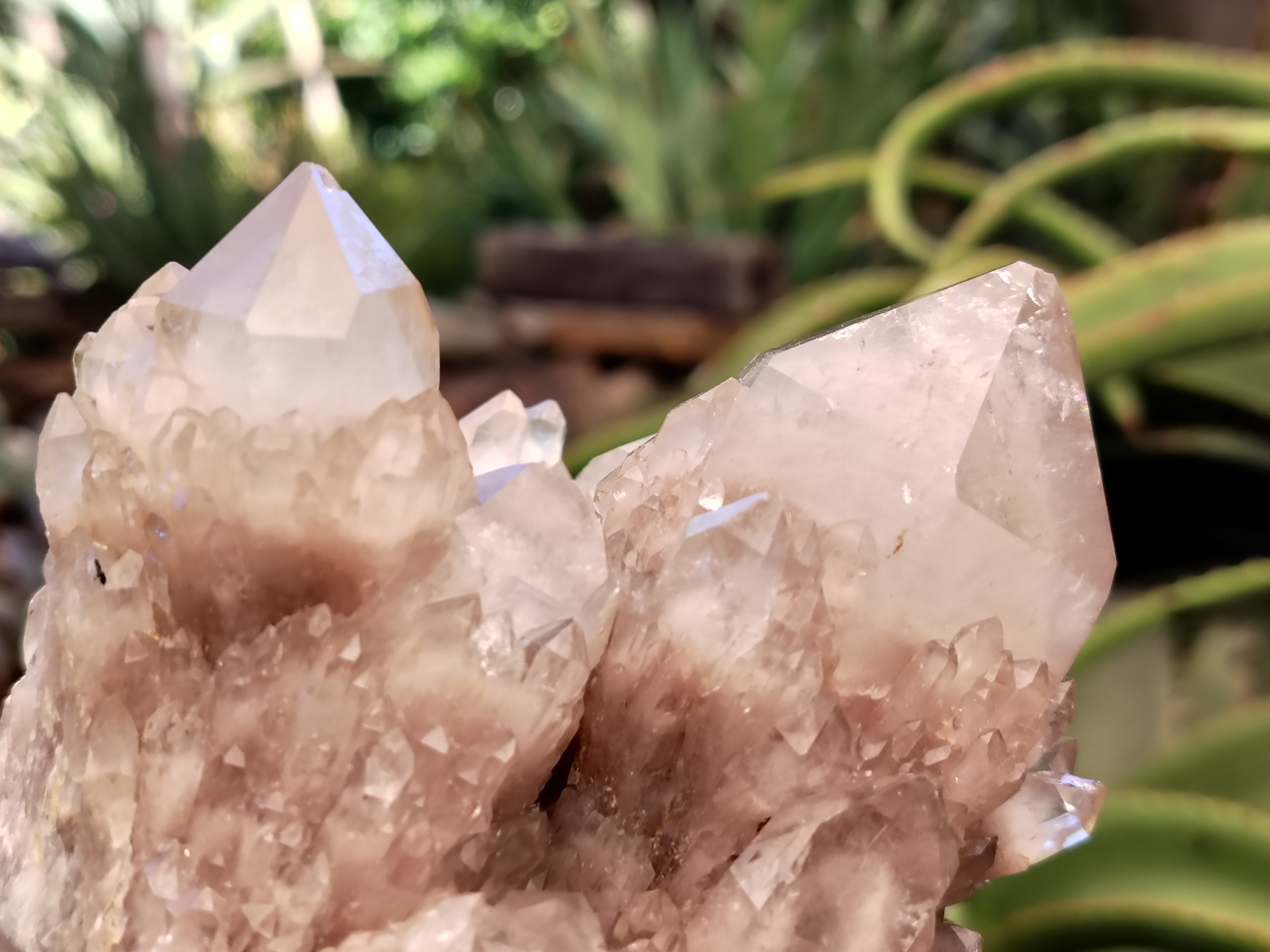 Natural Smokey Phantom Quartz Clusters x 2 From Luena, Congo - Toprock Gemstones and Minerals 