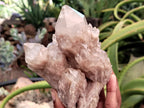 Natural Smokey Phantom Quartz Clusters x 2 From Luena, Congo - Toprock Gemstones and Minerals 