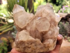 Natural Smokey Phantom Quartz Clusters x 2 From Luena, Congo - Toprock Gemstones and Minerals 