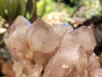 Natural Smokey Phantom Quartz Clusters x 2 From Luena, Congo - Toprock Gemstones and Minerals 