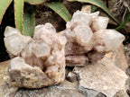 Natural Smokey Phantom Quartz Clusters x 2 From Luena, Congo - Toprock Gemstones and Minerals 